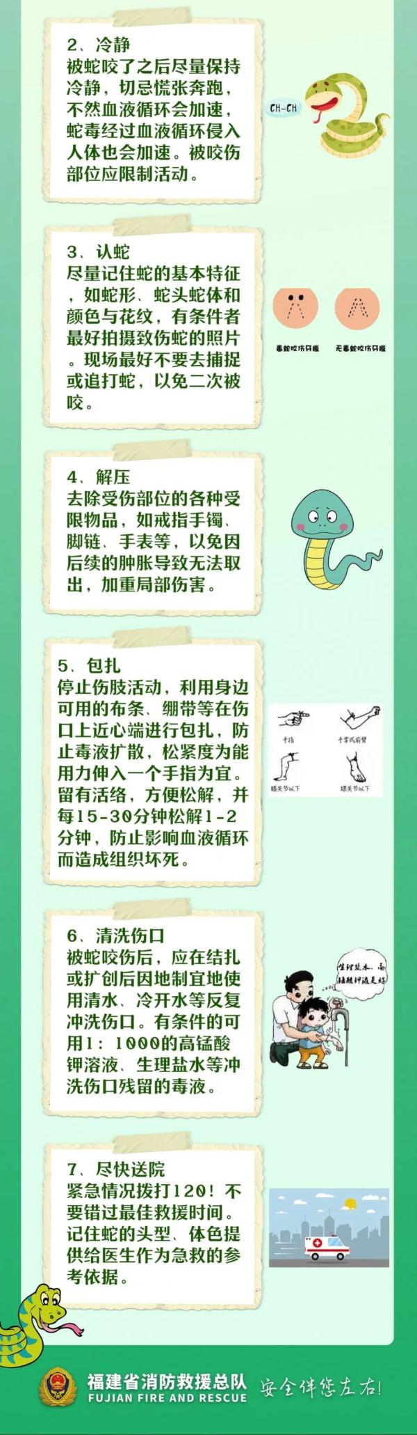 蛇蛇蛇！一幼儿园旁发现2.8米长眼镜王蛇！还有30枚蛇蛋......