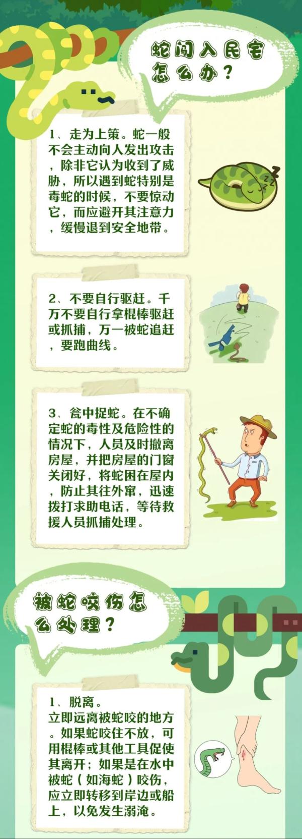 蛇蛇蛇！一幼儿园旁发现2.8米长眼镜王蛇！还有30枚蛇蛋......