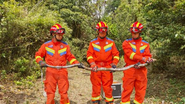 蛇蛇蛇！一幼儿园旁发现2.8米长眼镜王蛇！还有30枚蛇蛋......