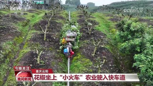 奔跑的“三夏”·瞰丰收 奔跑的“三夏”·瞰丰收