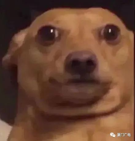 局部暴雨突袭！厦门发布预警！端午将……