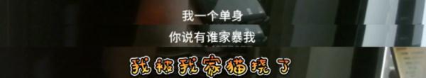 任性报假警？拘！