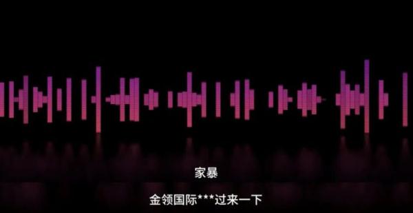 任性报假警？拘！