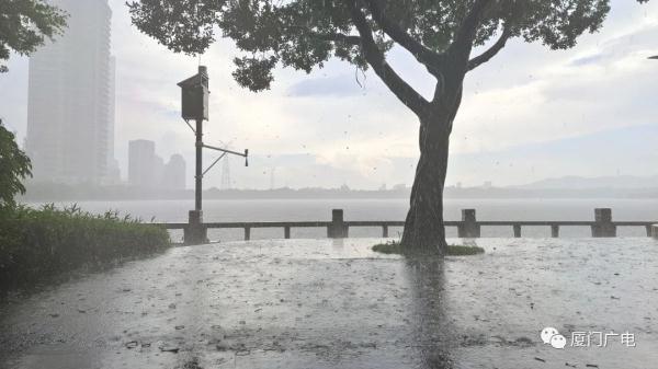 局部暴雨突袭！厦门发布预警！端午将……