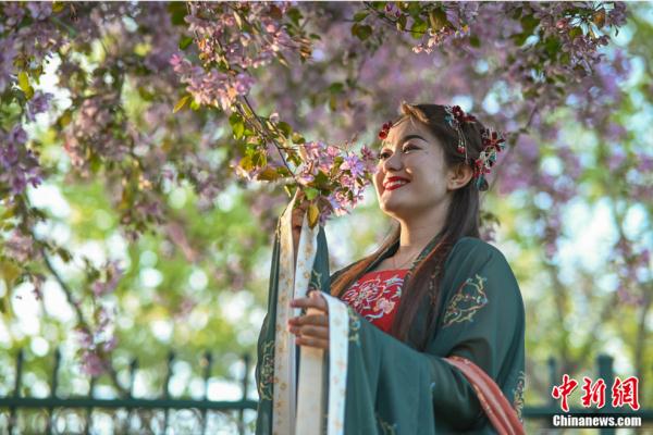 中国人为何这么爱赏花？