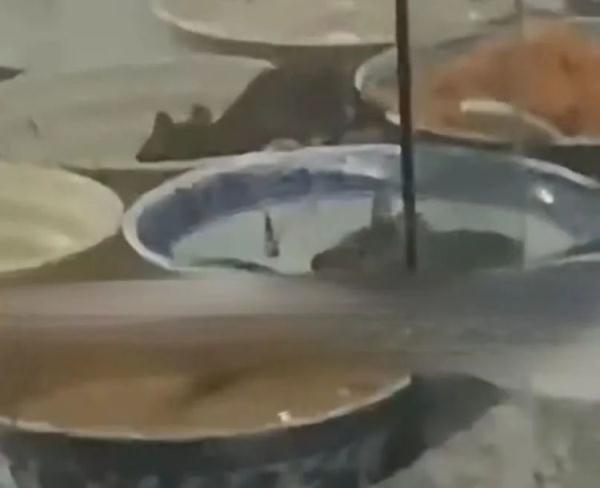 承认道歉!服务区菜盆惊现老鼠,官方通报:停业整顿并立案调查 承认道歉!服务区菜盆惊现老鼠,官方通报:停业整顿并立案调查
