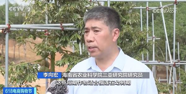 国产“水果之王”，来了！开始预售