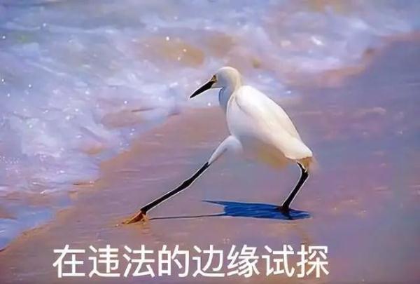 “身材焦虑”，想靠吸毒减肥？减下去的不一定是脂肪，可能是命！