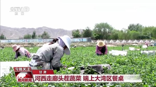 奔跑的“三夏”·瞰丰收 奔跑的“三夏”·瞰丰收