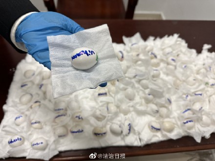 旅客携80余枚濒危亚马逊鹦鹉蛋闯关被截机场查获82枚亚马逊鹦鹉蛋属濒危物种！