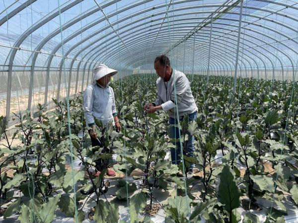 陕西神木乡村振兴见闻：村企结对强产业　工农融合促振兴