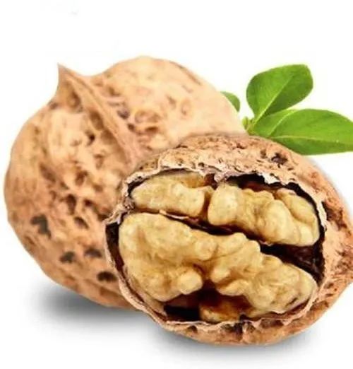 吃核桃能长寿？吃够这个量，能增强人体抵抗力，延年益寿~