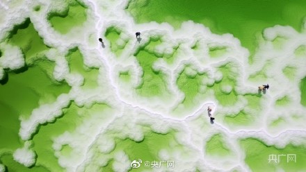 “中国盐湖之最”!察尔汗盐湖夏日美景 “中国盐湖之最”!察尔汗盐湖夏日美景