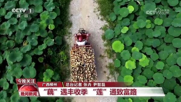 奔跑的“三夏”·瞰丰收 奔跑的“三夏”·瞰丰收