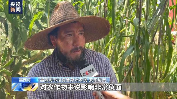 墨西哥遭遇热浪 农作物受干旱影响恐减产
