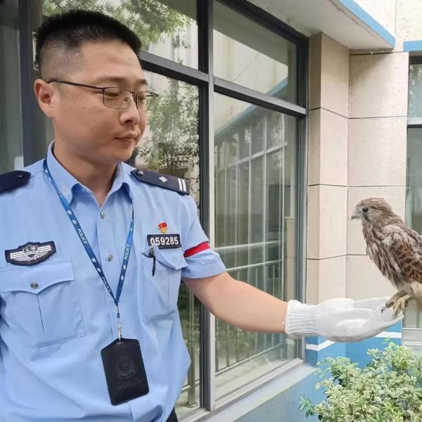 “萌”禽来“袭”!速来围观! “萌”禽来“袭”!速来围观!