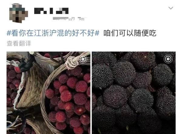 “神秘”小白箱重现江湖,网友:一看就知道是辽宁来的……我能“炫”一箱! “神秘”小白箱重现江湖,网友:一看就知道是辽宁来的……我能“炫”一箱!
