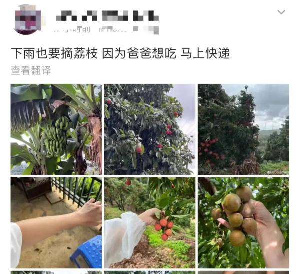 “神秘”小白箱重现江湖,网友:一看就知道是辽宁来的……我能“炫”一箱! “神秘”小白箱重现江湖,网友:一看就知道是辽宁来的……我能“炫”一箱!