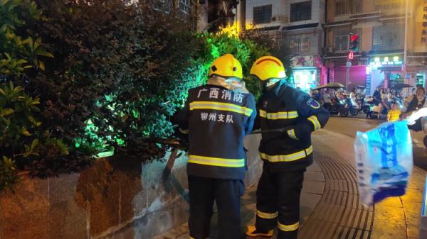 警惕！有蛇出没！专家：这类蛇不能随意捕杀
