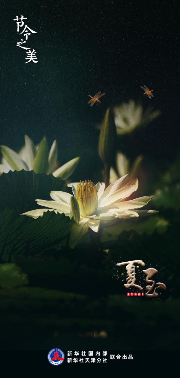 节令之美·夏至丨记得吃碗“夏至面” 节令之美·夏至丨记得吃碗“夏至面”