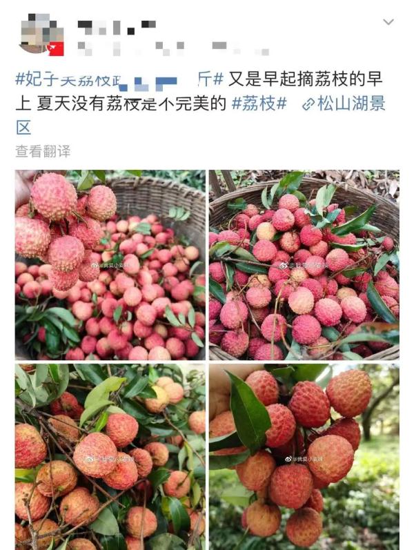 “神秘”小白箱重现江湖,网友:一看就知道是辽宁来的……我能“炫”一箱! “神秘”小白箱重现江湖,网友:一看就知道是辽宁来的……我能“炫”一箱!