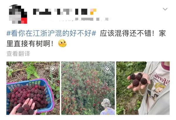 “神秘”小白箱重现江湖,网友:一看就知道是辽宁来的……我能“炫”一箱! “神秘”小白箱重现江湖,网友:一看就知道是辽宁来的……我能“炫”一箱!