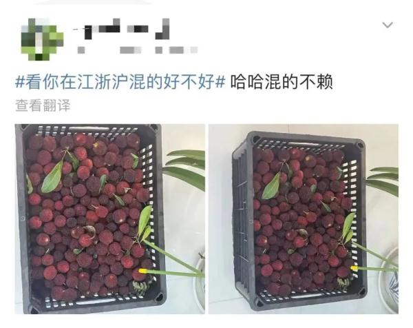 “神秘”小白箱重现江湖,网友:一看就知道是辽宁来的……我能“炫”一箱! “神秘”小白箱重现江湖,网友:一看就知道是辽宁来的……我能“炫”一箱!