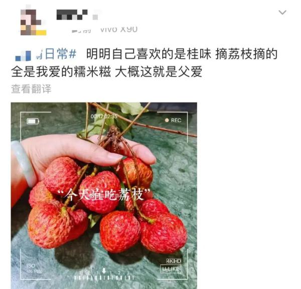 “神秘”小白箱重现江湖,网友:一看就知道是辽宁来的……我能“炫”一箱! “神秘”小白箱重现江湖,网友:一看就知道是辽宁来的……我能“炫”一箱!