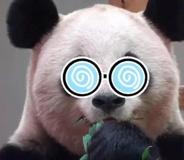 没想到吧，大熊猫都是近视眼