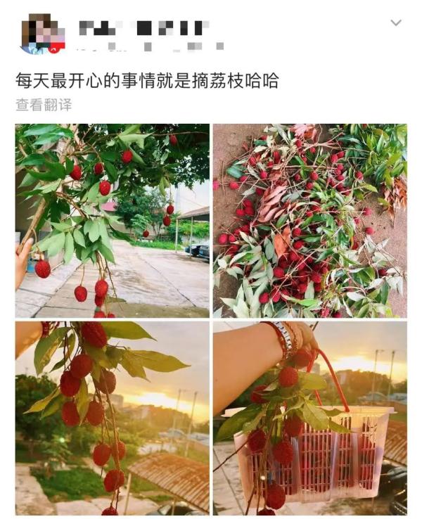 “神秘”小白箱重现江湖,网友:一看就知道是辽宁来的……我能“炫”一箱! “神秘”小白箱重现江湖,网友:一看就知道是辽宁来的……我能“炫”一箱!