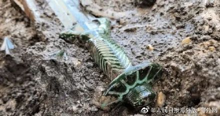 德国宣布惊人发现：3000年前的青铜剑，出土时“闪闪发光”