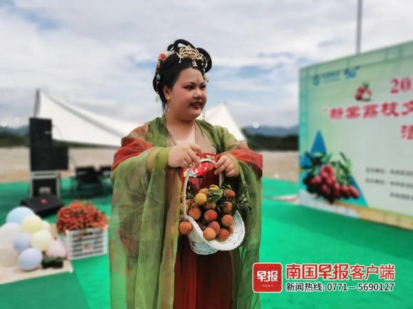 荔枝红了！广西这里50多种荔枝等你来摘，快冲！