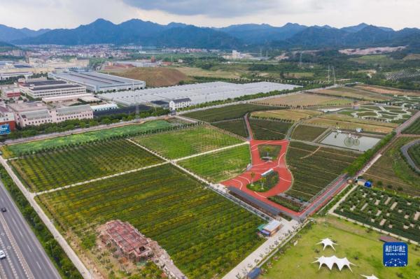 新华全媒+｜千万工程二十年 百亿花园村成为乡村振兴样板