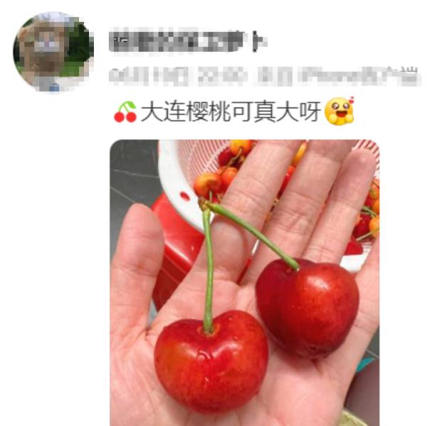 “神秘”小白箱重现江湖,网友:一看就知道是辽宁来的……我能“炫”一箱! “神秘”小白箱重现江湖,网友:一看就知道是辽宁来的……我能“炫”一箱!