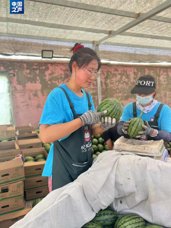 西瓜好不好，一拍就知道！拍瓜师火了