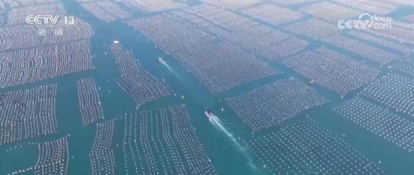 建设现代海洋牧场 推动海洋渔业向信息化、智能化、现代化转型升级 建设现代海洋牧场 推动海洋渔业向信息化、智能化、现代化转型升级