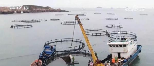 建设现代海洋牧场 推动海洋渔业向信息化、智能化、现代化转型升级 建设现代海洋牧场 推动海洋渔业向信息化、智能化、现代化转型升级