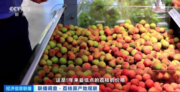 “妃子笑”每斤快跌至3元，荔枝价格打下来了