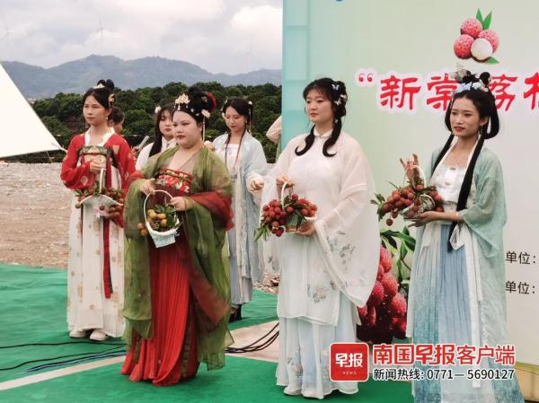荔枝红了！广西这里50多种荔枝等你来摘，快冲！
