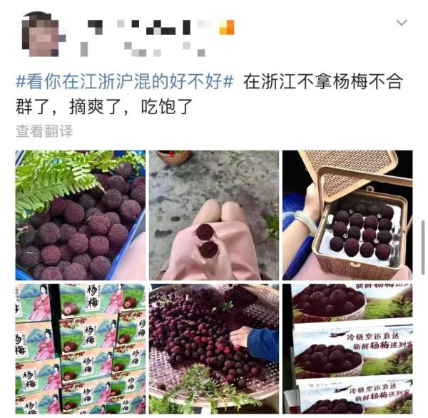 “神秘”小白箱重现江湖,网友:一看就知道是辽宁来的……我能“炫”一箱! “神秘”小白箱重现江湖,网友:一看就知道是辽宁来的……我能“炫”一箱!