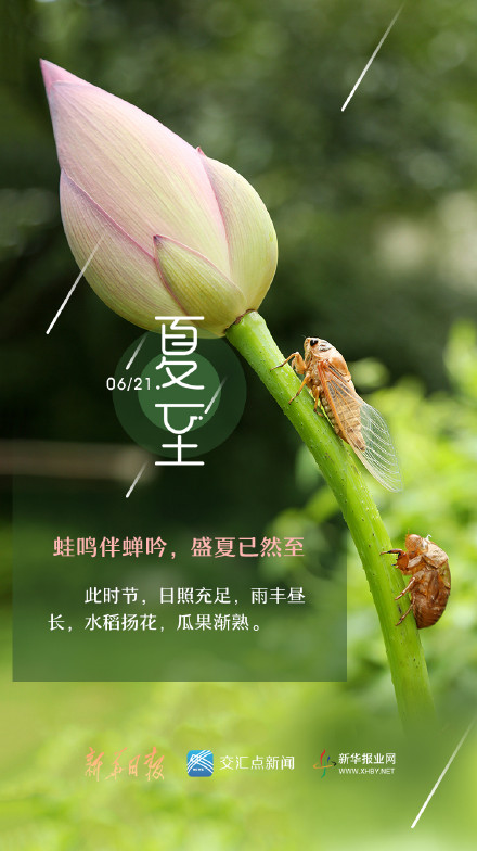 2023年6月21日,夏至节气如约而至!
“蛙鸣伴蝉吟,盛夏已然至 2023年6月21日,夏至节气如约而至!
“蛙鸣伴蝉吟,盛夏已然至