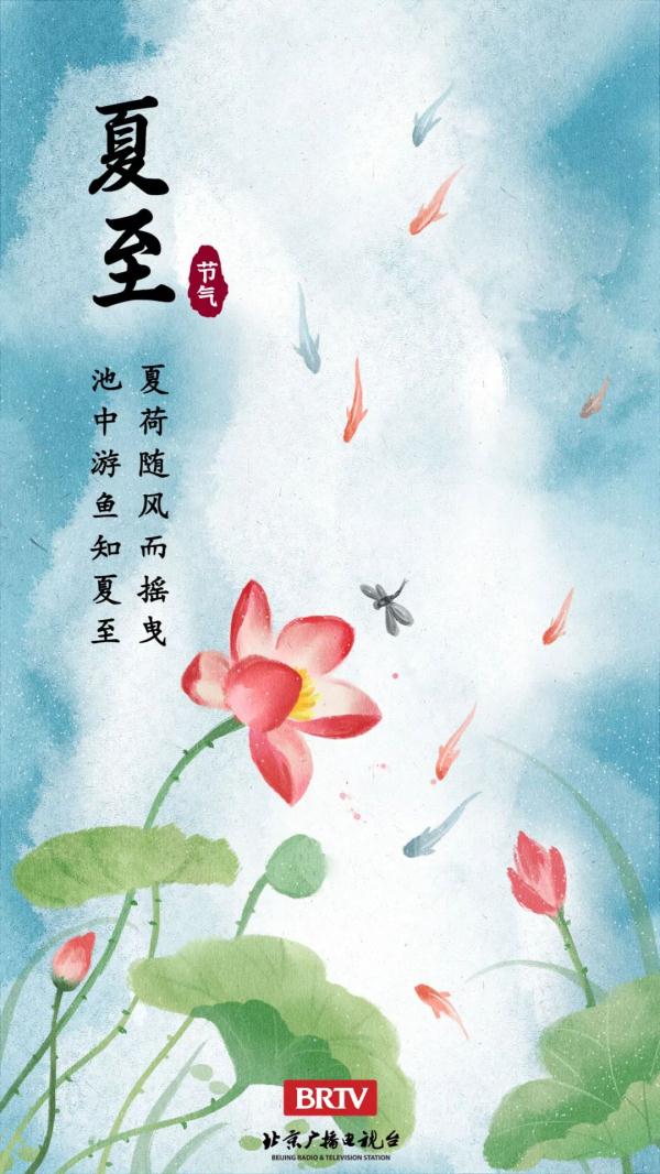 夏至丨盛夏起点,荷花绽放,蛙鸣声声 夏至丨盛夏起点,荷花绽放,蛙鸣声声