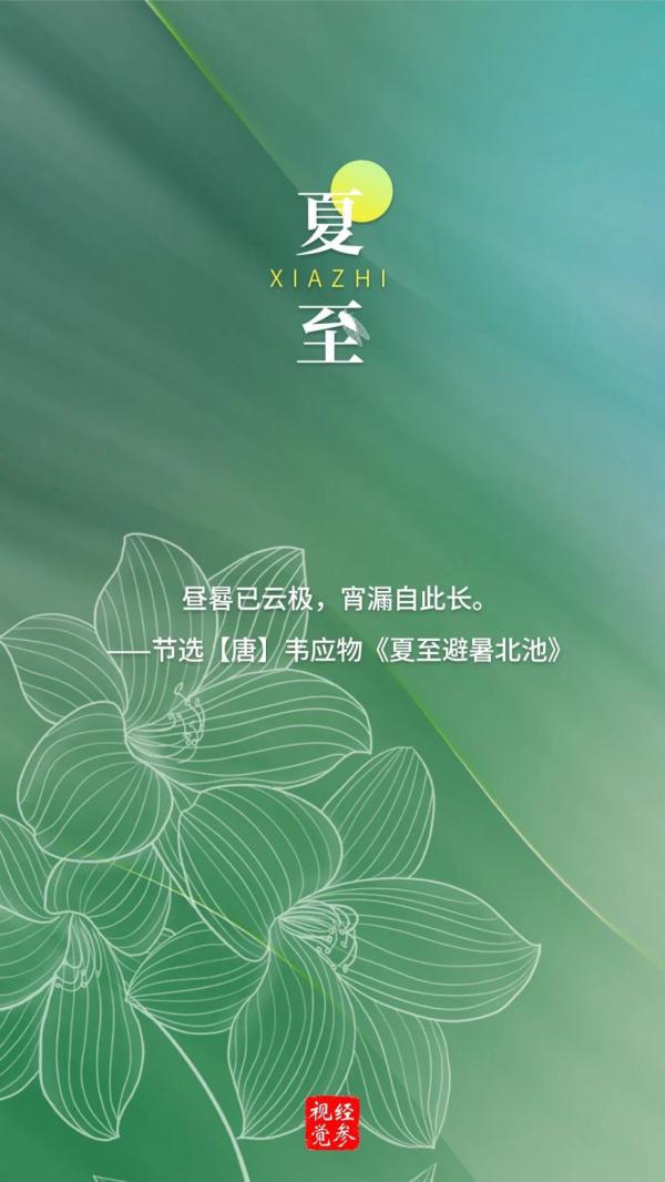 夏至 | 向阳而立，逐光而行