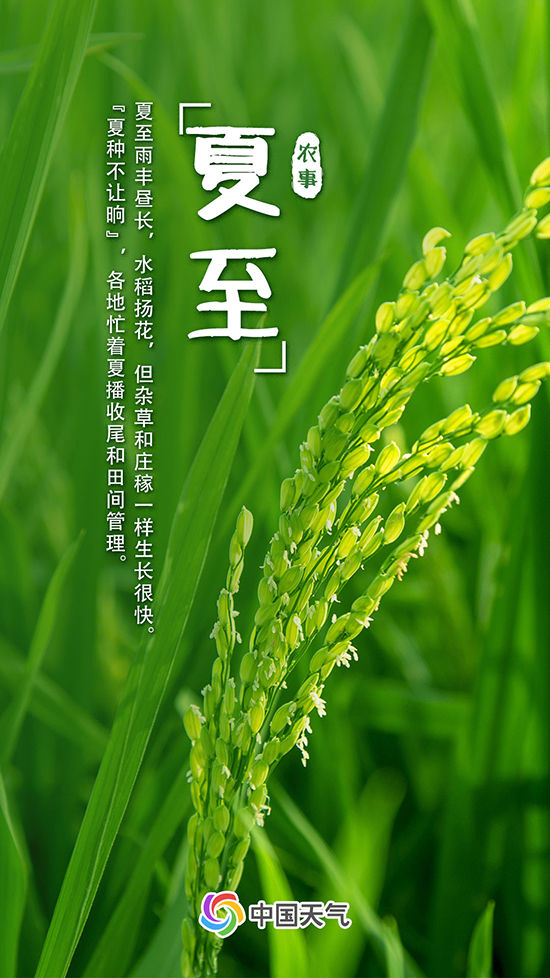 盛夏至！夏至节气炎热升级 全国热力地图看哪里“热情四射”