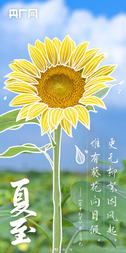诗词中的夏至有多美