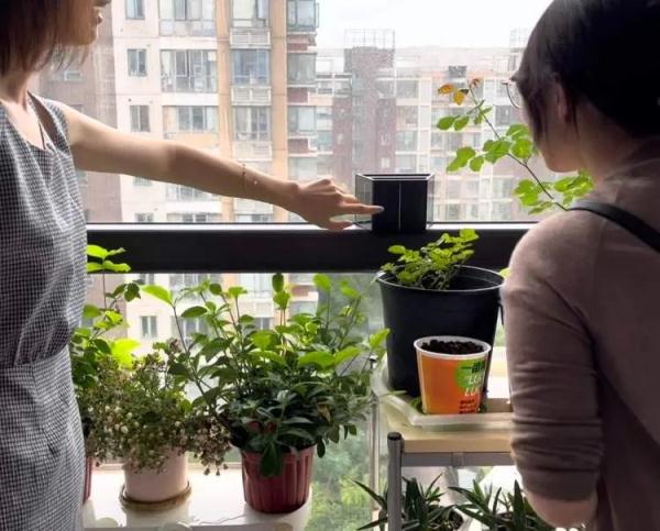 敲掉移门阳台变茶室!氛围感拉满 敲掉移门阳台变茶室!氛围感拉满