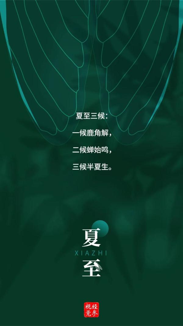 夏至 | 向阳而立，逐光而行