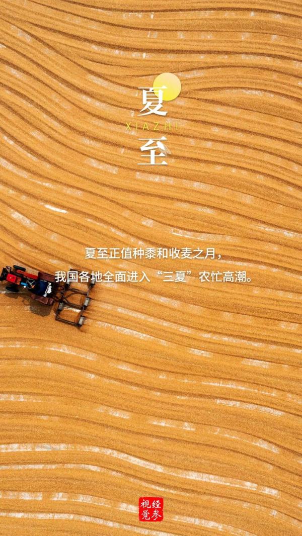 夏至 | 向阳而立，逐光而行