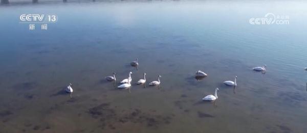 “锦水回纹、凌河烟雨”两河治理绘就辽宁锦州生态美景 “锦水回纹、凌河烟雨”两河治理绘就辽宁锦州生态美景