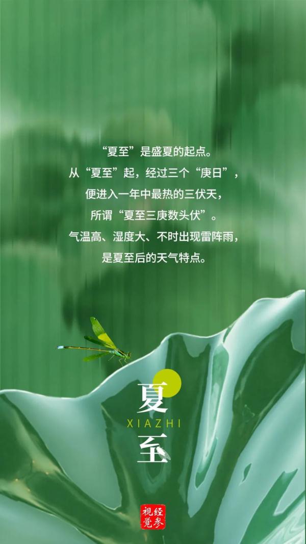 夏至 | 向阳而立，逐光而行